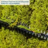 Close-up of a hedge trimmer cutting green foliage. Produktbild-Vorschau