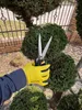 Záhradné nožnice MAMUTH 12 cm čepeľ na ovocie hrozno Náhľad obrázku produktu 13