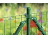 Alberts 617745 Palo di recinzione per Fix-Clip pro, per il Anteprima dell’immagine prodotto 6