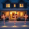 Tuinsteker lollypop 62 cm kerstversiering Nampook Productafbeelding-voorbeeld 14