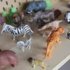 Woopie Zestaw figurek zwierząt Xxl 58 szt. Podgląd zdjęcia produktu 6