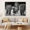 OneMillionCanvasses® - Leinwandbilder - 140x90 cm, Elefant Produktbild-Vorschau 6