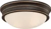 A close-up, studio shot of a ceiling light fixture. Náhled obrázku produktu