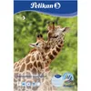 10 Blatt je Block Zeichenblock Pelikan A4, 4Block Produktbild-Vorschau 11