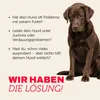 Mera Dog 12,5kg Pure Sensitive Truthahn&Reis Náhľad obrázku produktu 3