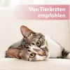 Augenpflege Felisept® Augenpflege Pads für Katzen Dose 100 Produktbild-Vorschau 5