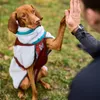 Non-stop dogwear Hundejacke Trekking Fleece Jacket Produktbild-Vorschau 11