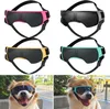 Hundebrille, kleine Rassen, UV-Schutz, Sonnenbrille, Produktbild-Vorschau 2