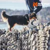 Non-stop dogwear CRUISE Collar orange | 150 | Halsband, Produktbild-Vorschau 3