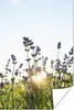 MuchoWow® Poster Nahaufnahme von Lavendel bei Produktbild-Vorschau 1