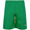 Puma Teamrise Shorts Herren - Grün Produktbild-Vorschau 8