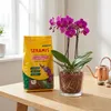 SERAMIS® Spezial-Substrat für Orchideen 2,5 l Produktbild-Vorschau 5