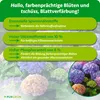 Purgrün Hortensiendünger 1 Liter, Produktbild-Vorschau 3