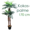 Palmizio Palma Cocco Pianta Albero Artificiale 170cm Legno Anteprima dell’immagine prodotto 1