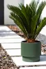 Pot de plantes 40 x 38 cm - Pot de fleurs 38L avec pot Voir les images du produit 15