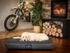 A golden retriever dog is lying on a dog bed in front of a fireplace and a dirt bike. Anteprima dell’immagine prodotto