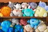 Celestial Buddies Polaris Ab und Polaris B Produktbild-Vorschau 3