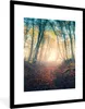 MuchoWow® Gerahmtes Poster Wald - Nebel - Sonne - Herbst Produktbild-Vorschau 1