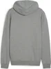 Puma Teamgoal Hooded Sweat Full Zip Kinder - Hellgrau Produktbild-Vorschau 2