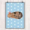 Mr. & Mrs. Panda Bild Einhorn Meerschweinchen DIN A2 - Blau Produktbild-Vorschau 2