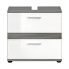 Blake meuble sous lavabo 2 tiroirs blanc brillant, gris. Voir les images du produit 4