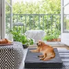 A golden retriever dog is lying on a gray dog bed on a balcony with plants and a croissant on a table. Produktbild-Vorschau