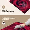 KitchenYeah© Herdabdeckplatte Rosen - Rot - Blumen , Produktbild-Vorschau 2