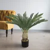 Palmier Palma cycas Plante Artificielle Artificiel 80 cm Anteprima dell’immagine prodotto 4