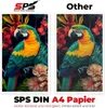 SPS Kopierpapier (500 Blatt, 80 g/m², DIN A4 Papier,weiß Produktbild-Vorschau 3