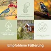 PANTO Meisenknödel 50er im Netz im Karton - Wildvogelfutter Produktbild-Vorschau 4