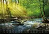 Wald - Erholung für Mensch und Tier - 2027 - Kalender DIN Produktbild-Vorschau 11