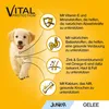 Pedigree Junior - Nassfutter für Welpen mit Huhn und Reis, Produktbild-Vorschau 5