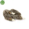 Bradipo di peluche ECO-FRIENDLY 30 cm (8590687220836) Anteprima dell’immagine prodotto 5