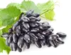 Vitis Souvenir Weintraube dunkelblau Weintrauben veredelt Produktbild-Vorschau 1