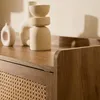 Sideboard mit 2 Türen und 2 Schubladen, mit Rattanfronten, Produktbild-Vorschau 7