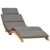 A chaise lounge with a gray cushion on a white background. Produktbild-Vorschau