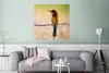 MuchoWow® Poster Vögel - Bienenfresser - Tiere 75x75 cm - Produktbild-Vorschau 5