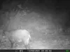 Outdoor Wildlife Hunting Trail und Wildkamera OXE Gepard Produktbild-Vorschau 38