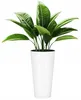 A tall, white, conical planter with a lush green plant inside, set against a white background. Anteprima dell’immagine prodotto