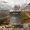Gélules de shilajit Aavalabs | 50 % d'acide fulvique | Voir les images du produit 3