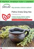SAFLAX Garden to go - Palina čínska Qing Hao - Artemisia Náhľad obrázku produktu 1