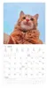 A calendar page featuring a cat image and a calendar grid. Produktbild-Vorschau