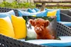 MuchoWow® Outdoor Kissen - Scottish Hochlandrind - Kalb - Produktbild-Vorschau 4