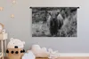 MuchoWow® Wandteppich Wandbehang Schottisches Hochlandrind Produktbild-Vorschau 3