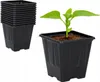 A stack of black plastic plant pots and a single pot with a seedling. Podgląd zdjęcia produktu