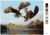 Zuty - Malen nach Zahlen - ADLER IM KAMPF - NAHAUFNAHME (D. Produktbild-Vorschau 3