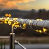 LED Lichterkette ,Dew Drop Micro, outdoor, warmweiß, 36m, Produktbild-Vorschau 4