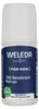 Weleda Men 24H Roll-On Deodorant Produktbild-Vorschau 1