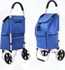 Two views of a blue shopping trolley with a silver frame and black wheels. Voir les images du produit