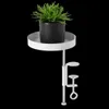 Support de plantes pour rebord de fenêtre - L - Or Voir les images du produit 4